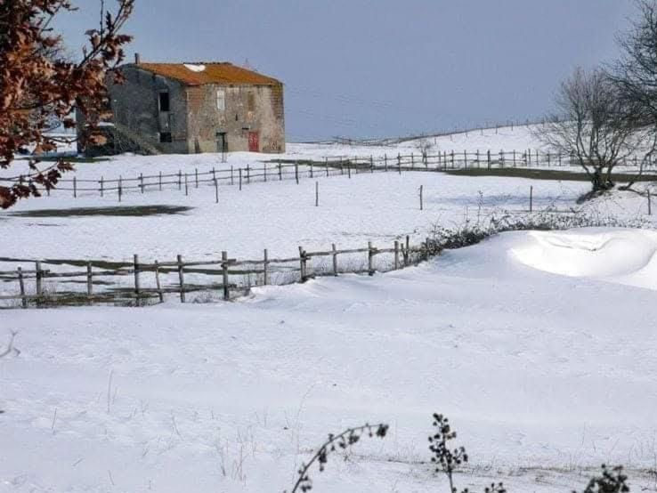 Отель Agriturismo Casale Lisalola Сутри Экстерьер фото